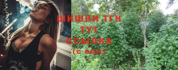 хмурый Богородск