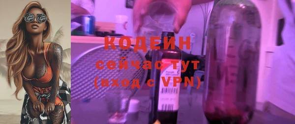 дмт Богданович