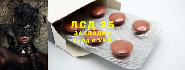 дмт Богданович