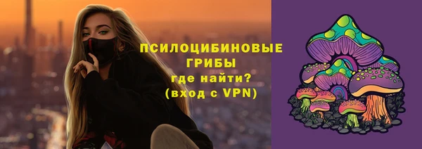 дмт Богданович