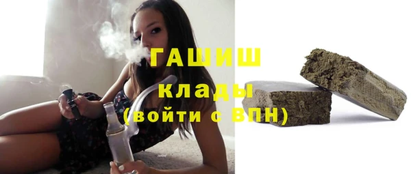 дмт Богданович