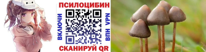цены   Ухта  Галлюциногенные грибы Cubensis 